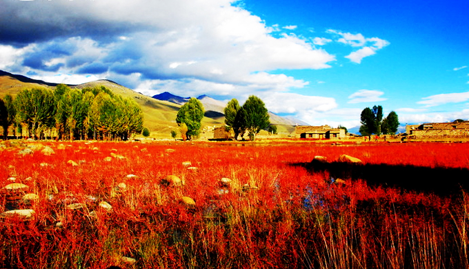 【转】稻城亚丁怎么去?四季景色有何不同?这篇攻略全告诉你