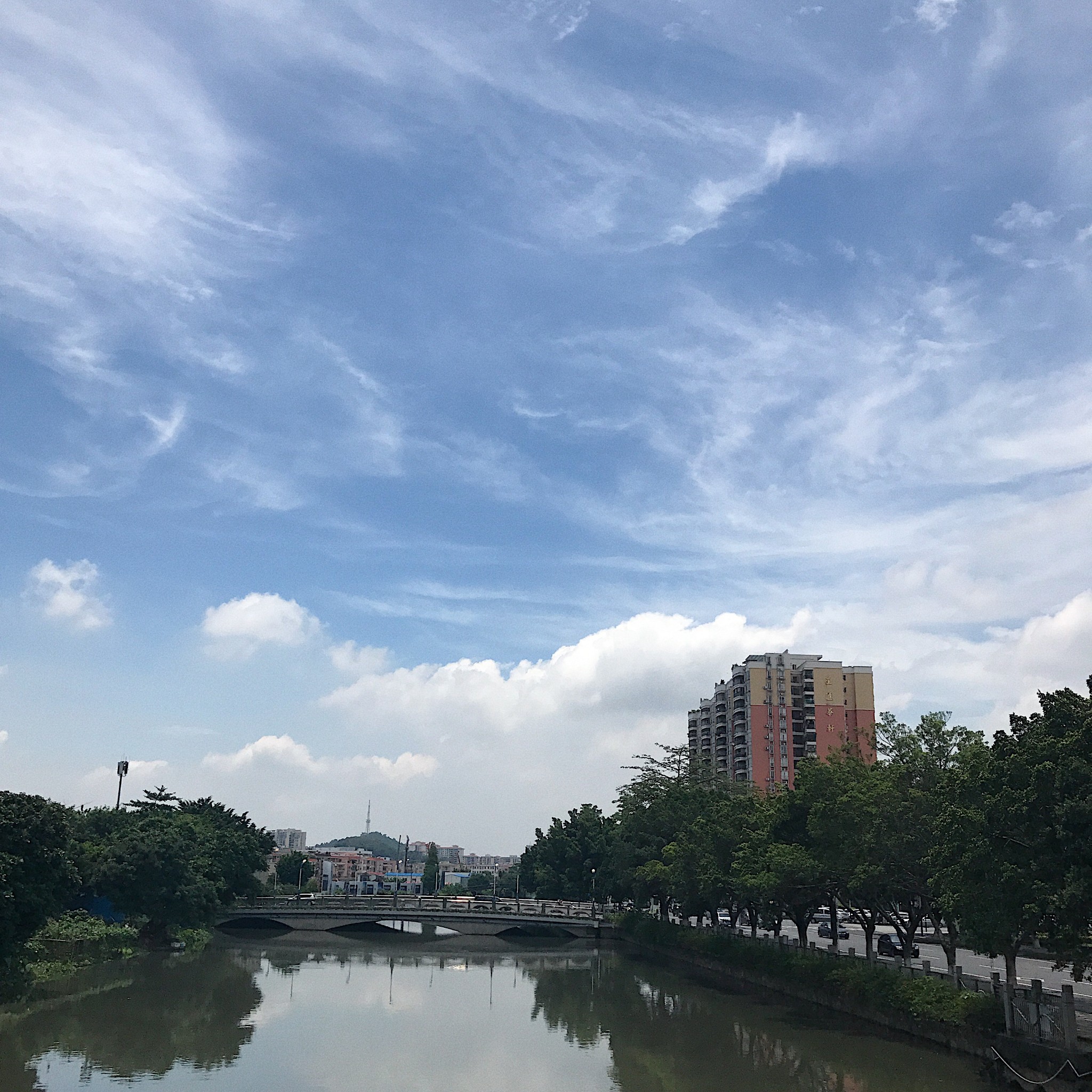 “你去广州做乜嘢?当然是食到呕啊”#广州顺德吃到扑街记#