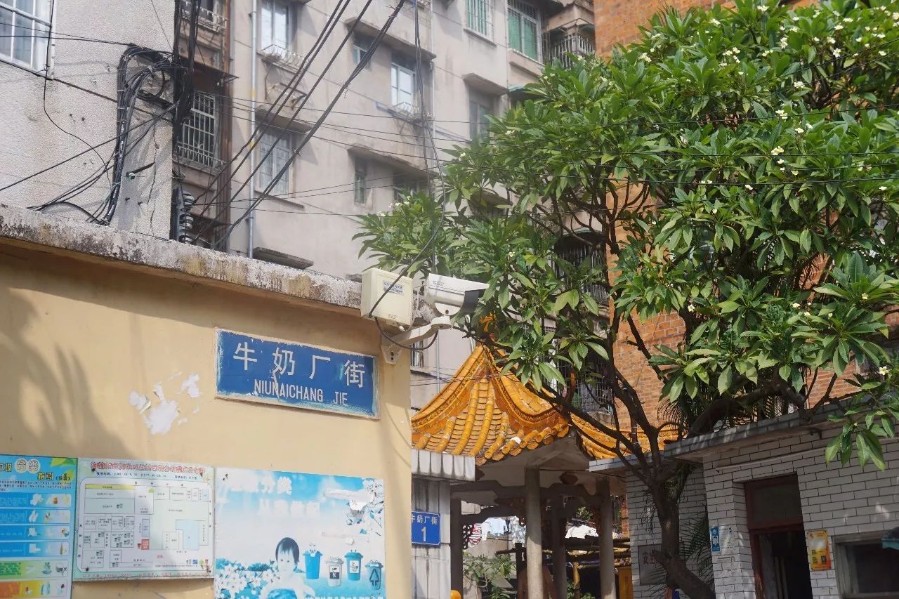 【转】同福路,这条广州老街,藏匿了少不为人知的美味和故事