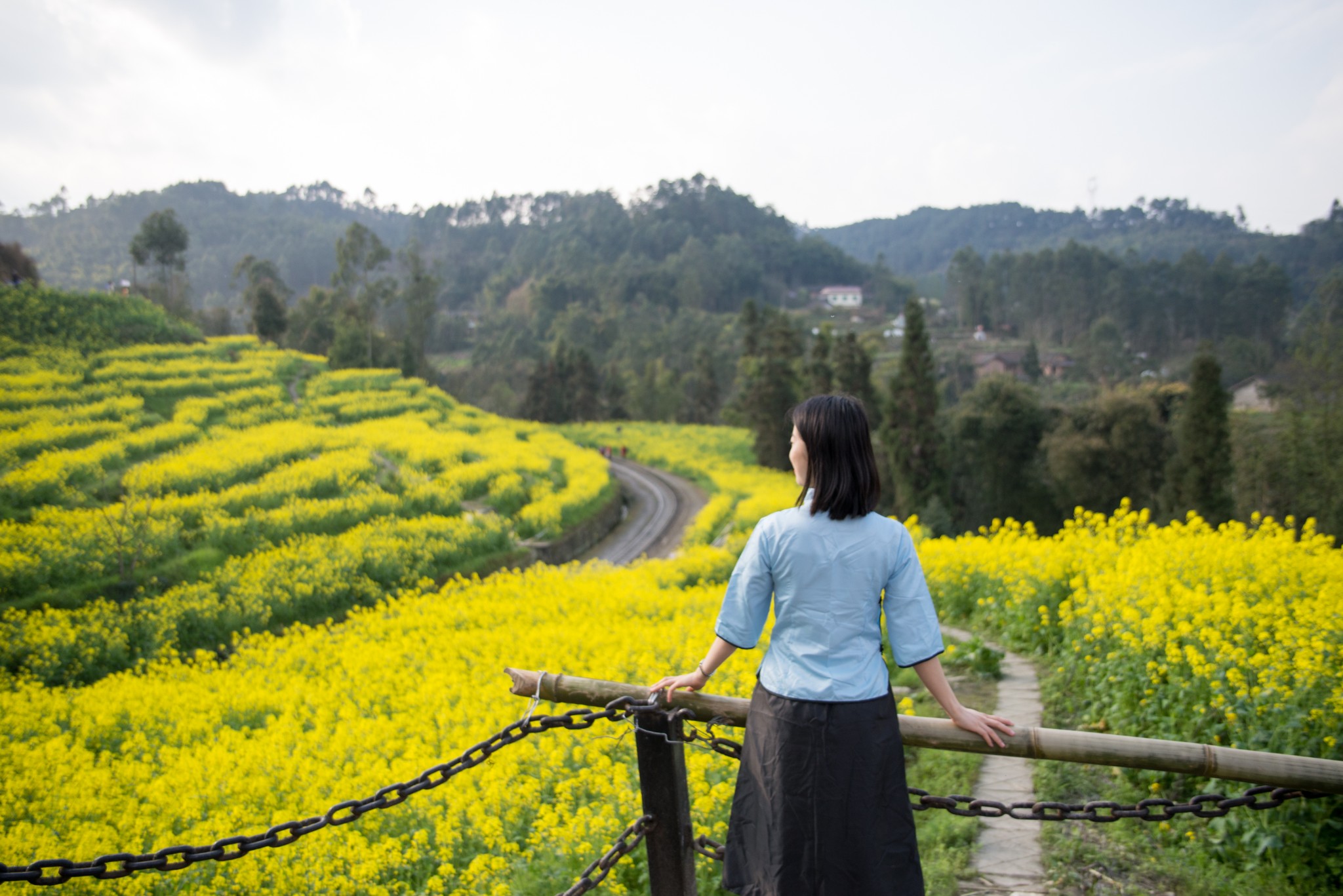 【转】四川犍为“嘉阳小火车”&油菜花旅游指南,自驾游旅游攻略