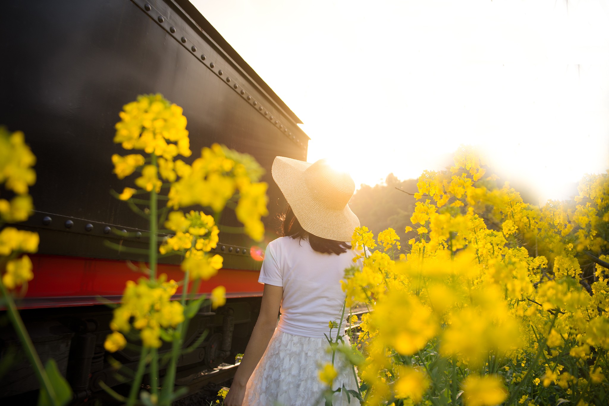 【转】四川犍为“嘉阳小火车”&油菜花旅游指南,自驾游旅游攻略