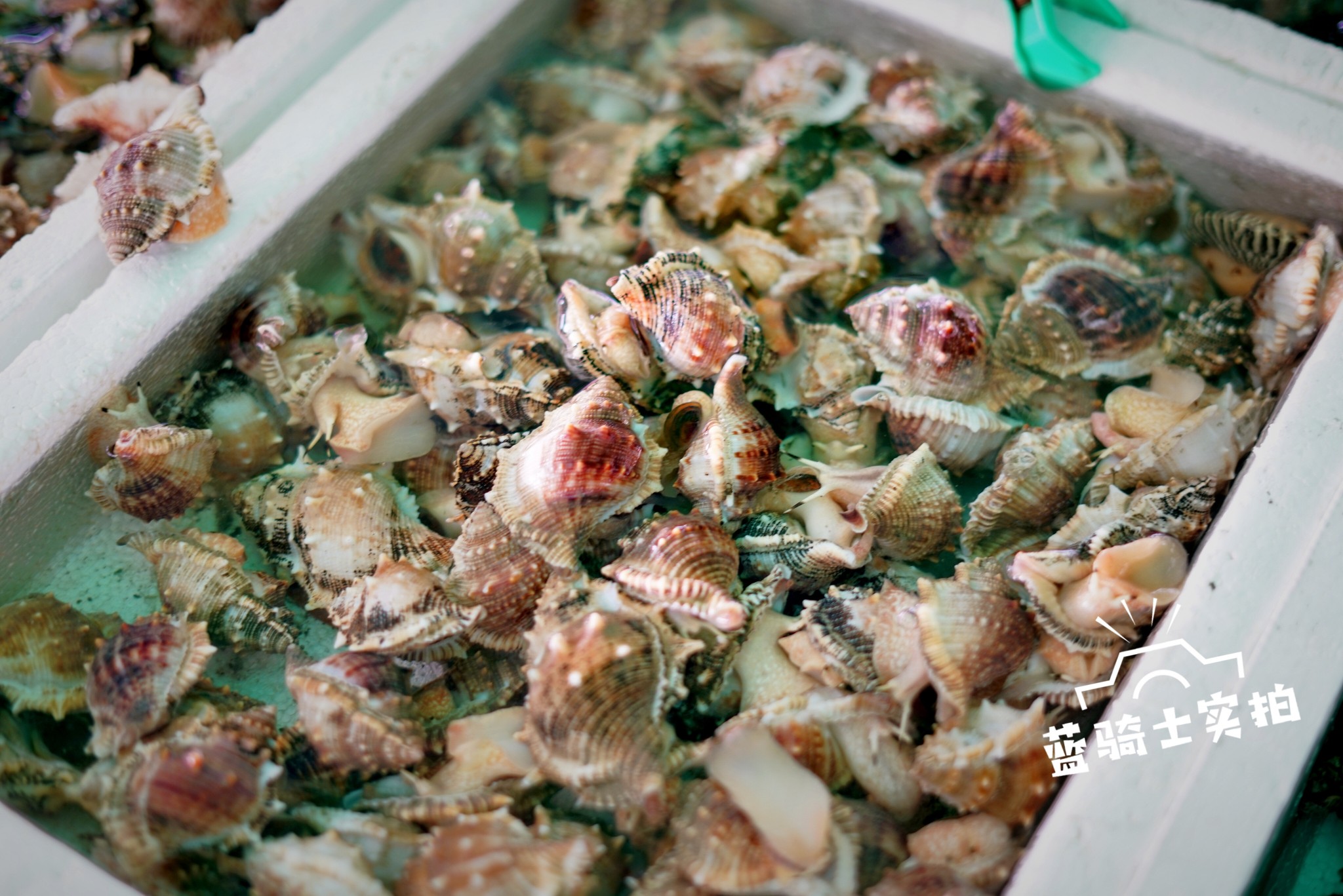 【转】珠海外伶仃岛实用旅游攻略,教你玩转海岛!