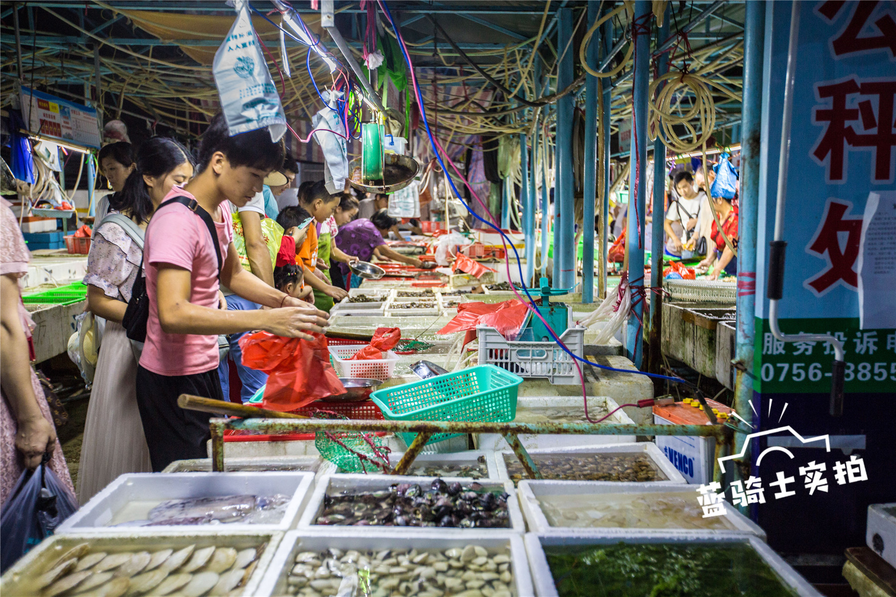 【转】珠海外伶仃岛实用旅游攻略,教你玩转海岛!
