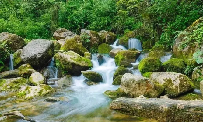【转】青城山两日攻略,一见青城,一见倾城