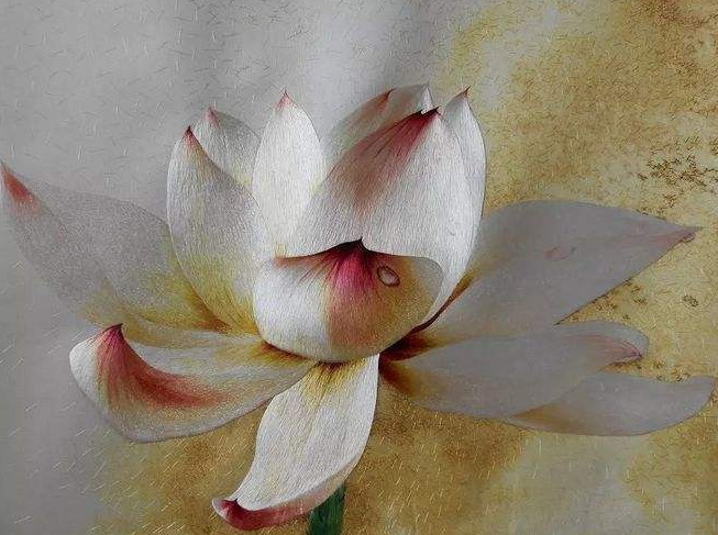 【转】青城山两日攻略,一见青城,一见倾城