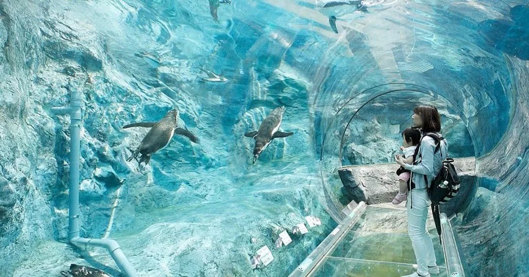 【转】当了N次冤大头,终于憋出这篇全网最“干”日本交通攻略