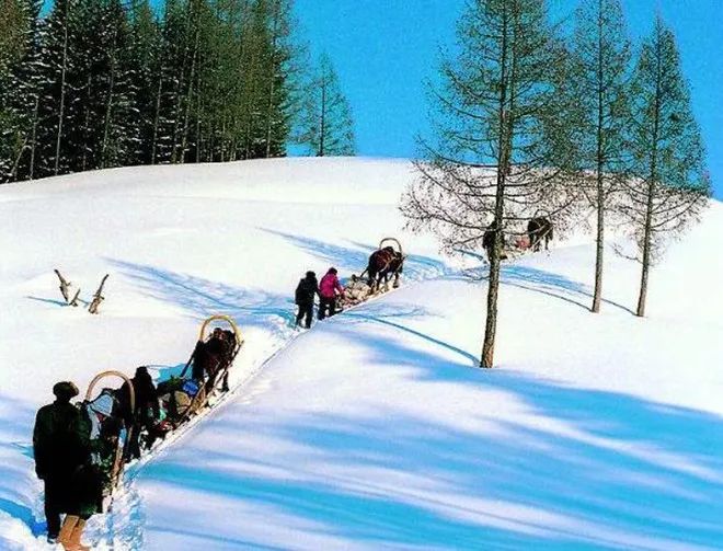 【转】哈尔滨初体验|哈尔滨4天漫游终极收藏攻略