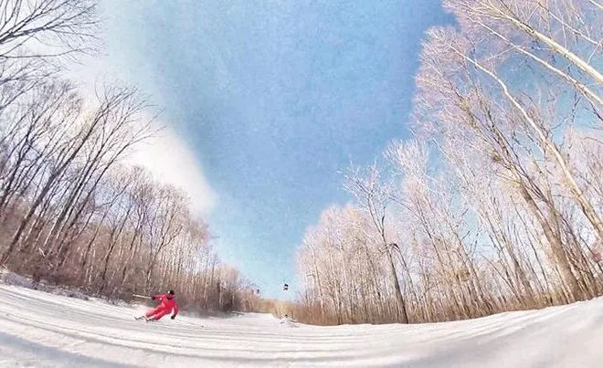 【转】哈尔滨初体验|哈尔滨4天漫游终极收藏攻略