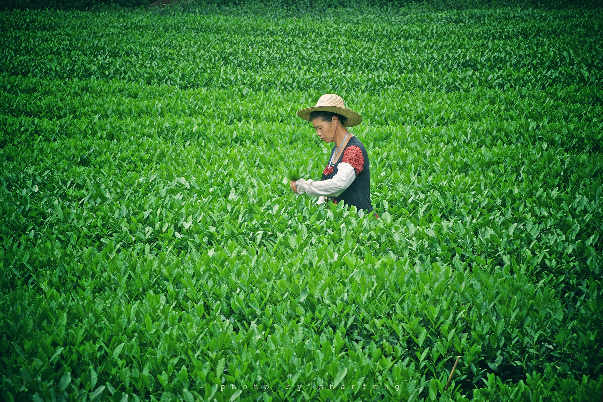 【转】初游必看!玩遍这些才算来过杭州!