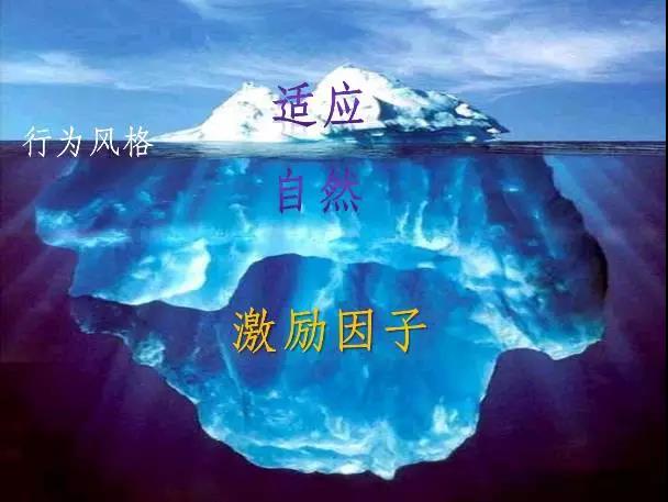 【转】都说要做喜欢的工作,我怎么知道我喜欢什么工作?