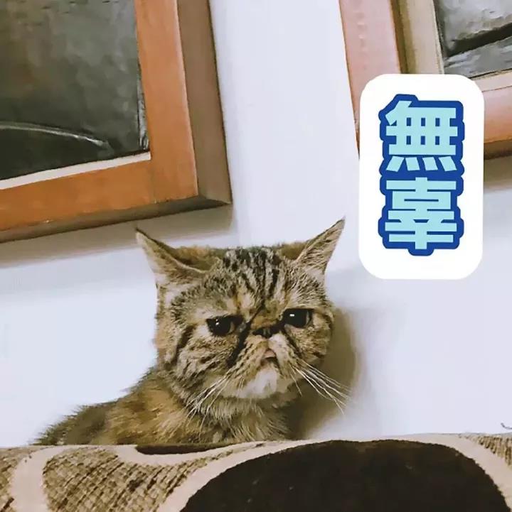 【转】为什么你知道努力的方法却总做不到?