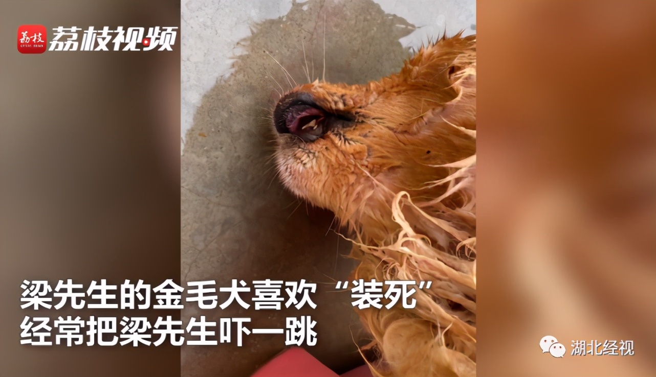 女子醒来感觉很累,一看监控,竟发现自己被“打”了4个小时