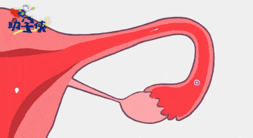 【花资】【转】不孕症要做哪些检查?了解这些接“好孕”