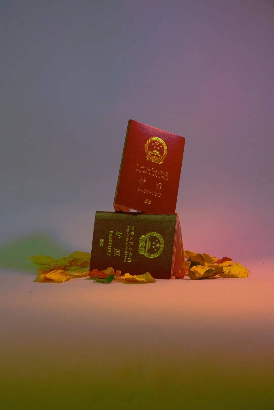 2021年,第一辑摄影