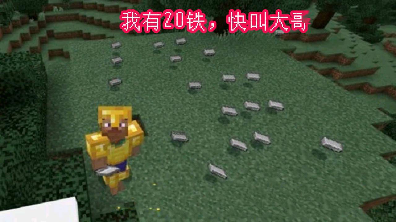 我的世界:“我有20铁,快叫大哥”,玩家笑而不语,反手就是赞