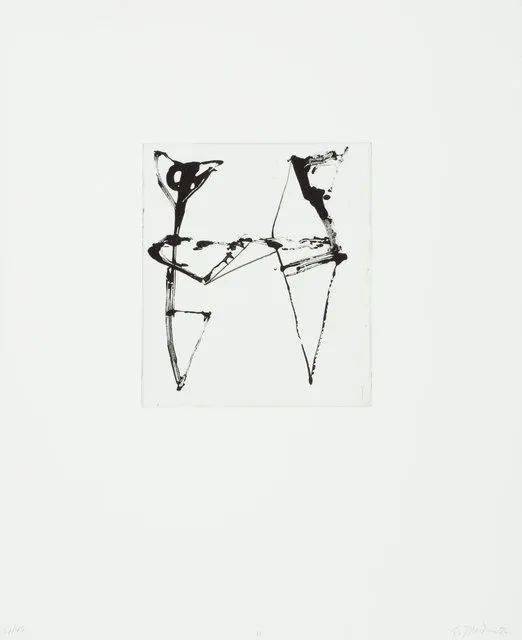 布莱斯·马登(Brice Marden):绘画是纯粹的诗