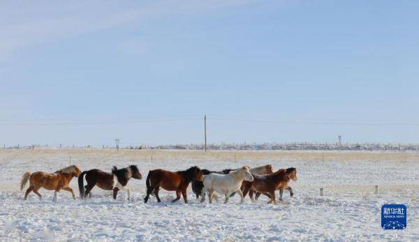 【转】锡林郭勒草原冬日美景