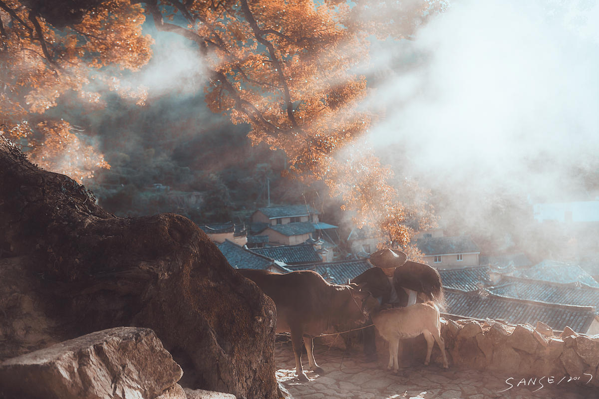 【转】江南秘境|浙江“摄影之乡”丽水有哪些必去的摄影点?