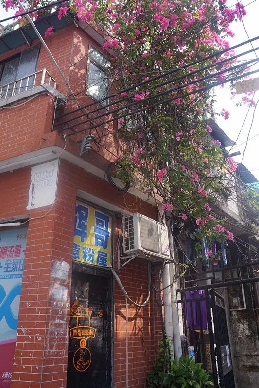 【转】同福路,这条广州老街,藏匿了少不为人知的美味和故事