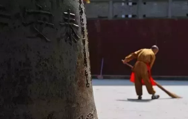 【转】青城山两日攻略,一见青城,一见倾城