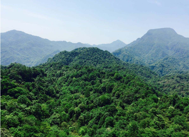 【转】青城山两日攻略,一见青城,一见倾城