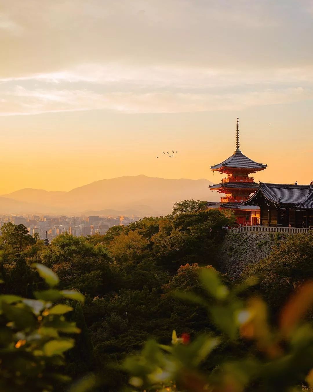 【转】当了N次冤大头,终于憋出这篇全网最“干”日本交通攻略