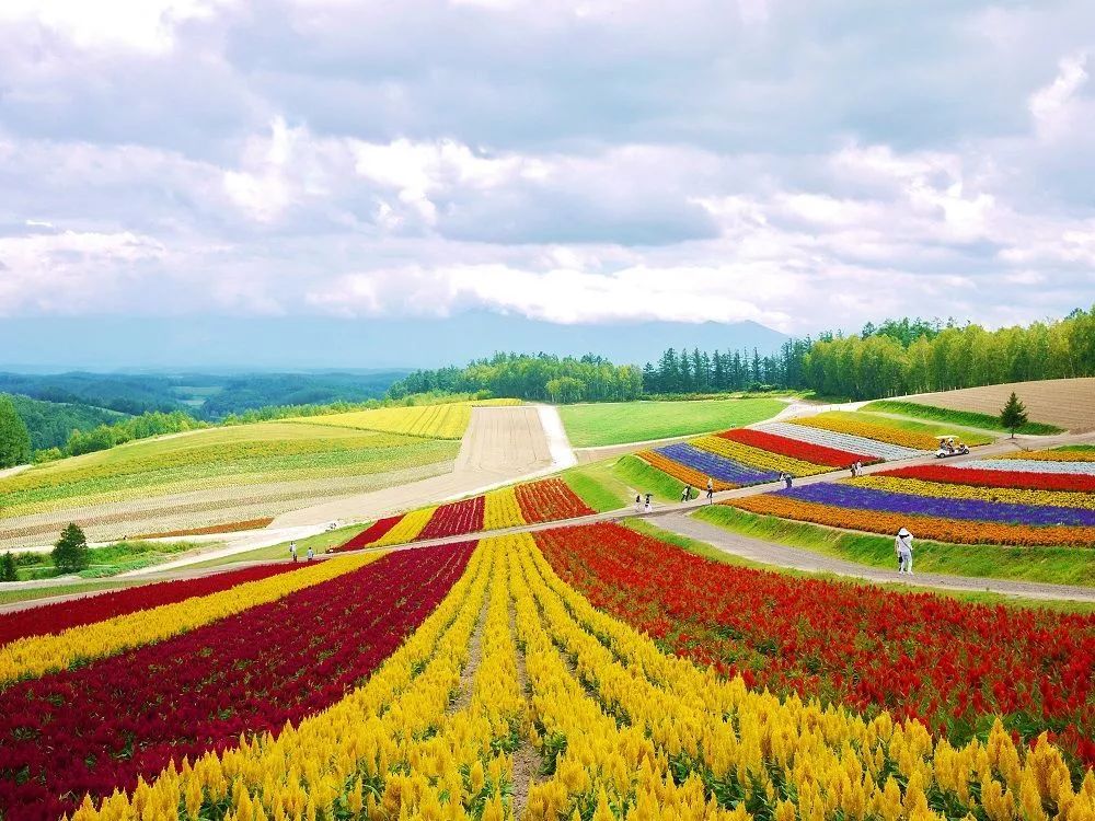 【转】当了N次冤大头,终于憋出这篇全网最“干”日本交通攻略