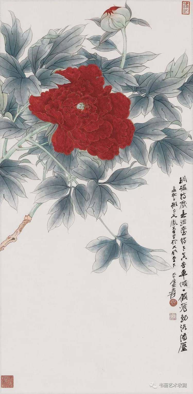 国画欣赏:张大千 花鸟作品选