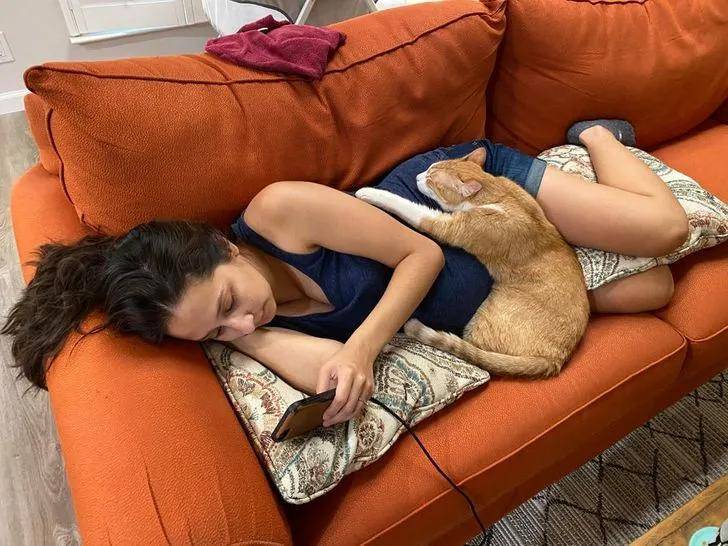 一组可爱温暖的猫咪图片:原来猫咪远比我们想象中的更依赖主人