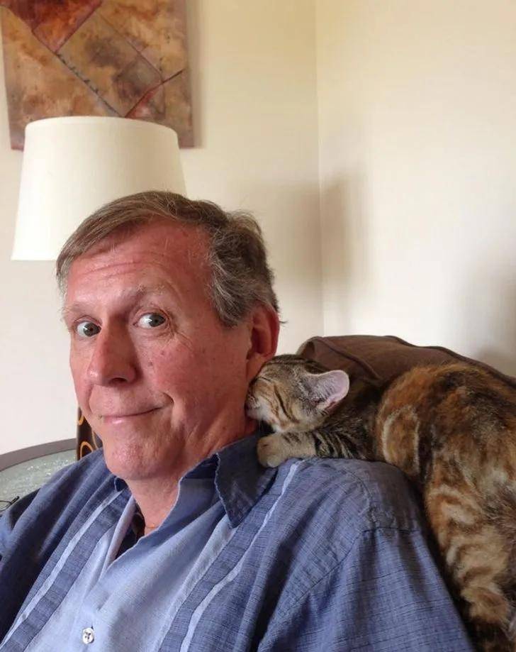 一组可爱温暖的猫咪图片:原来猫咪远比我们想象中的更依赖主人