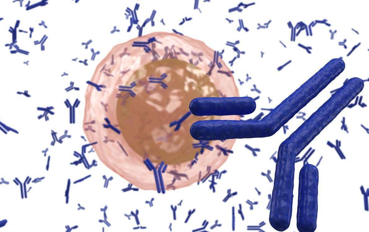 衰老迷局揭秘!我国科学家重要发现令人瞠目结舌