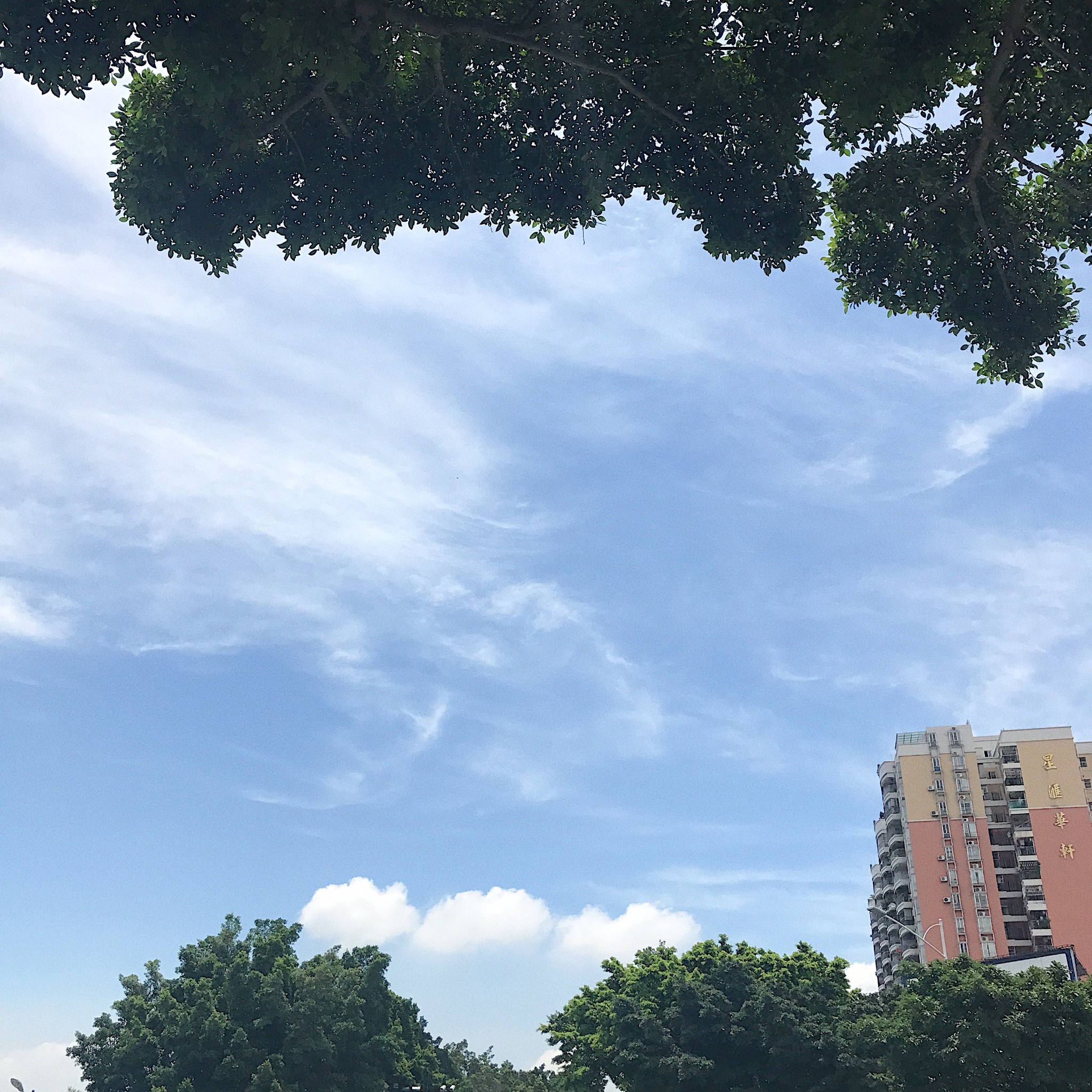 “你去广州做乜嘢?当然是食到呕啊”#广州顺德吃到扑街记#