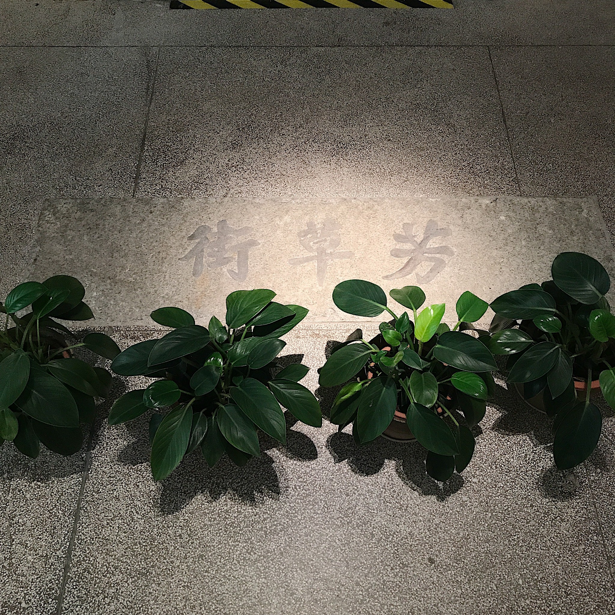 “你去广州做乜嘢?当然是食到呕啊”#广州顺德吃到扑街记#