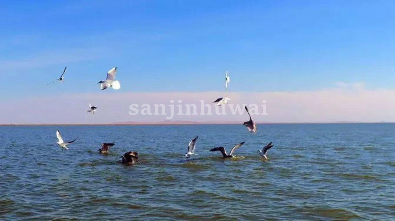 【转载】呼伦贝尔大草原攻略