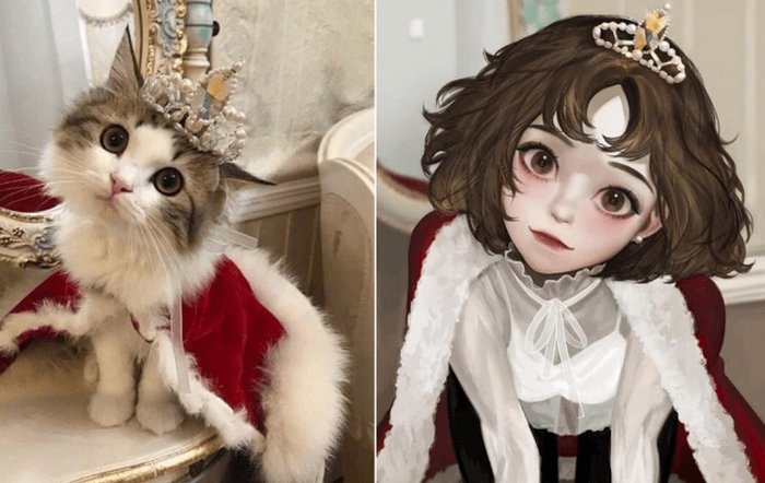 当现实动物被二次元化,“猛男”狗力感十足,猫咪是可爱的化身