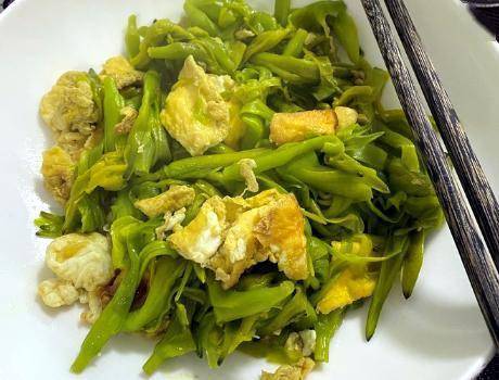 6月遇到我从不手软的菜,季节性太强了,炒鸡蛋特鲜,贵也值得
