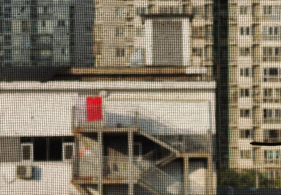 2021年,第一辑摄影