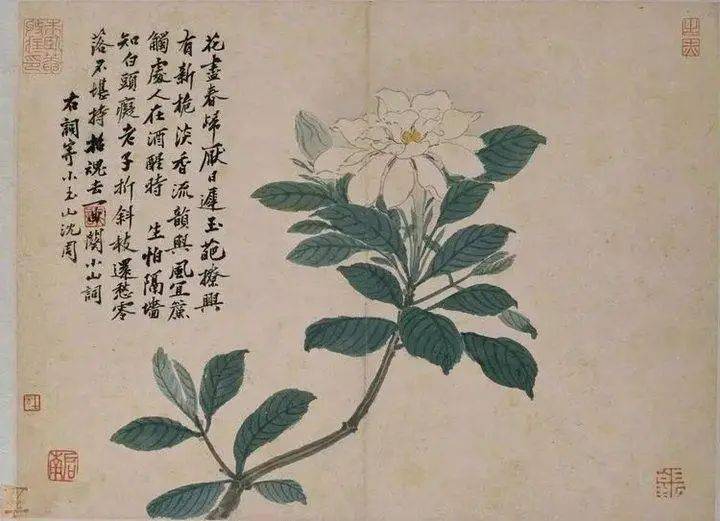 沈周的绘画思想,不盲从古人