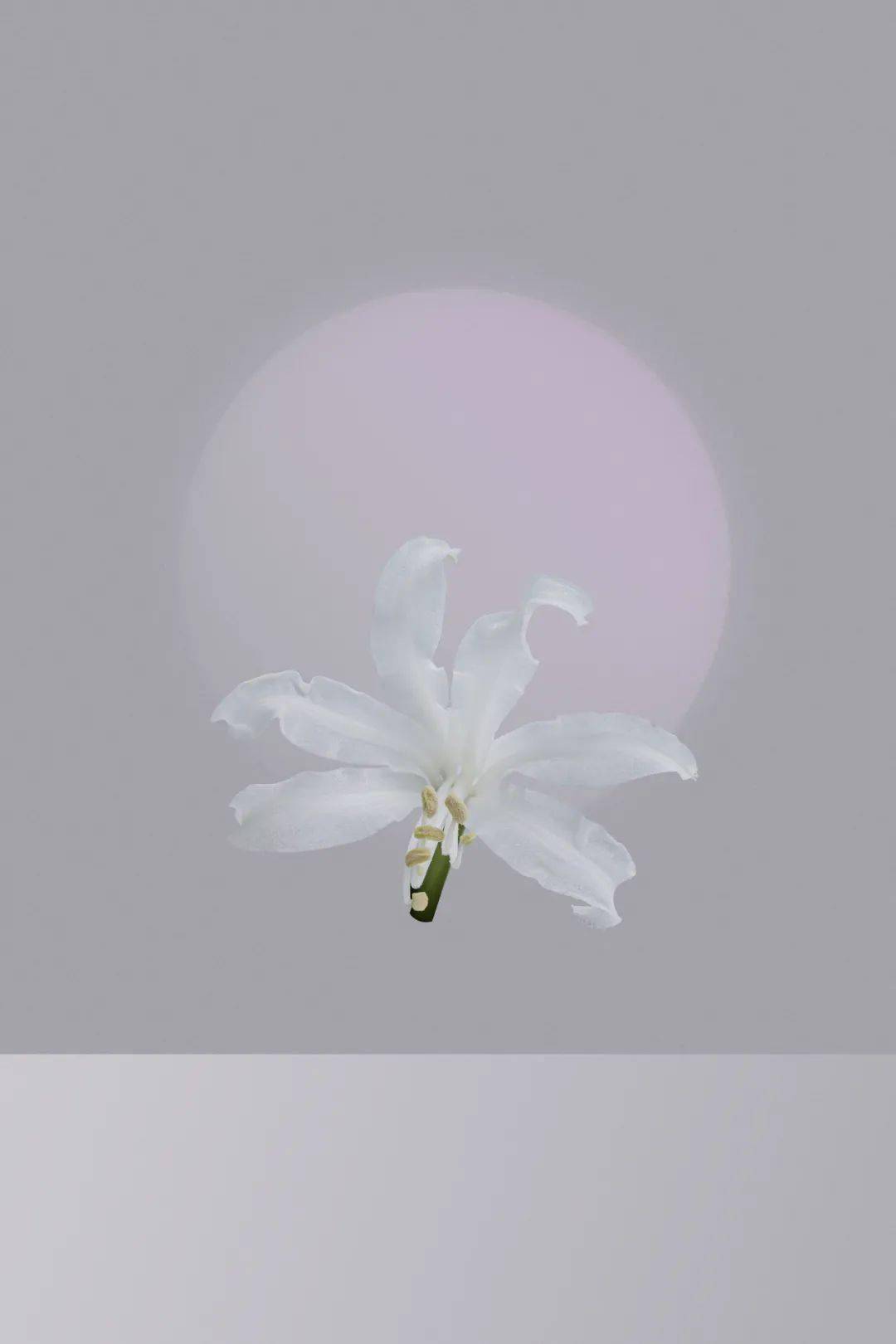 摄影