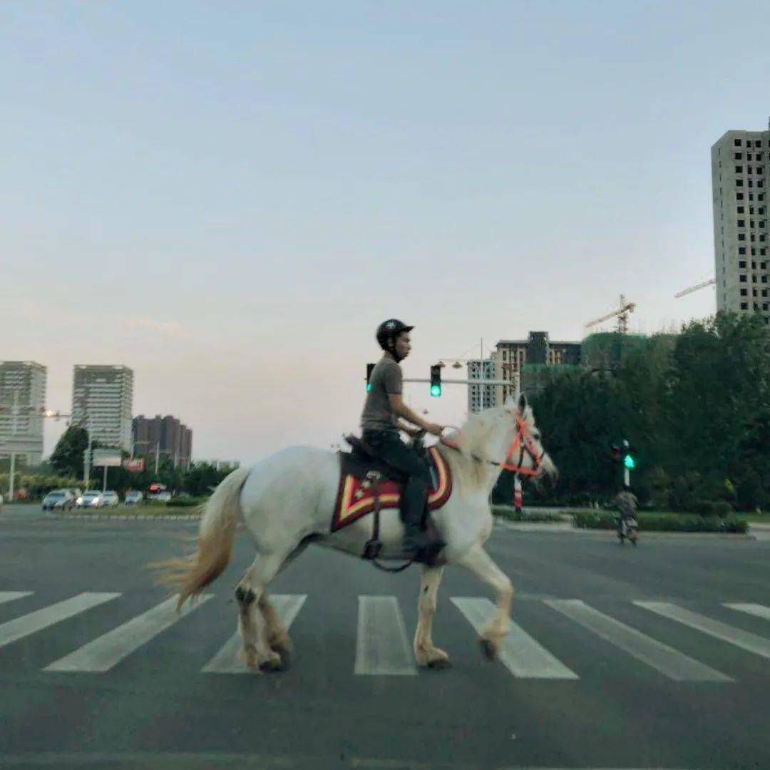 摄影