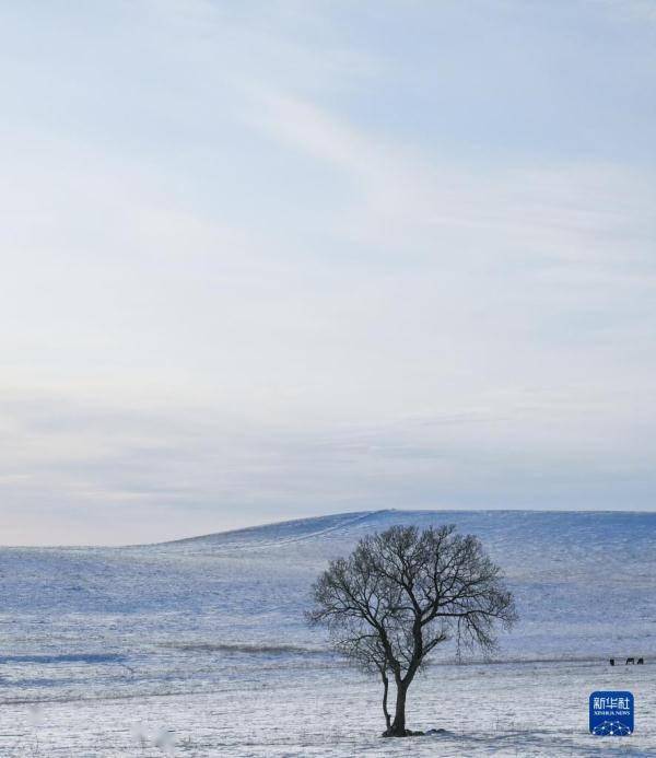 【转】锡林郭勒草原冬日美景