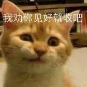 哥们,你这样拍照片秀恩爱有意思吗?