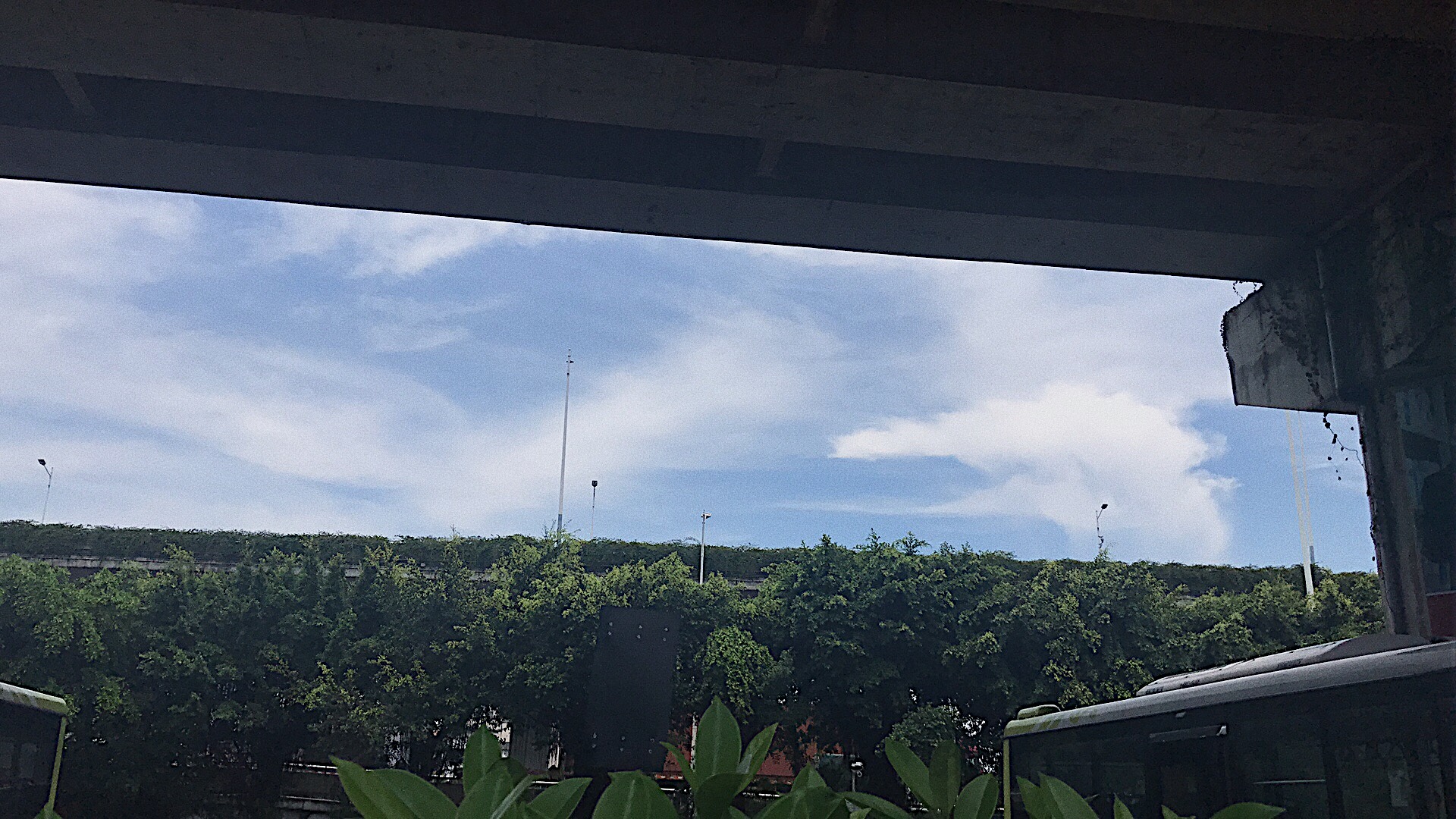 “你去广州做乜嘢?当然是食到呕啊”#广州顺德吃到扑街记#