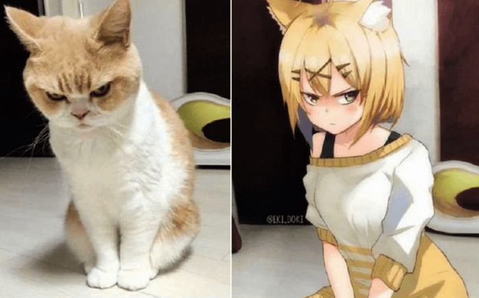 当现实动物被二次元化,“猛男”狗力感十足,猫咪是可爱的化身
