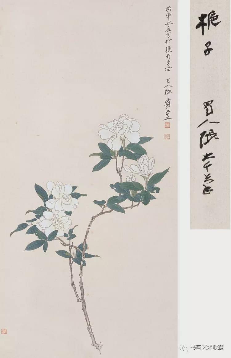 国画欣赏:张大千 花鸟作品选