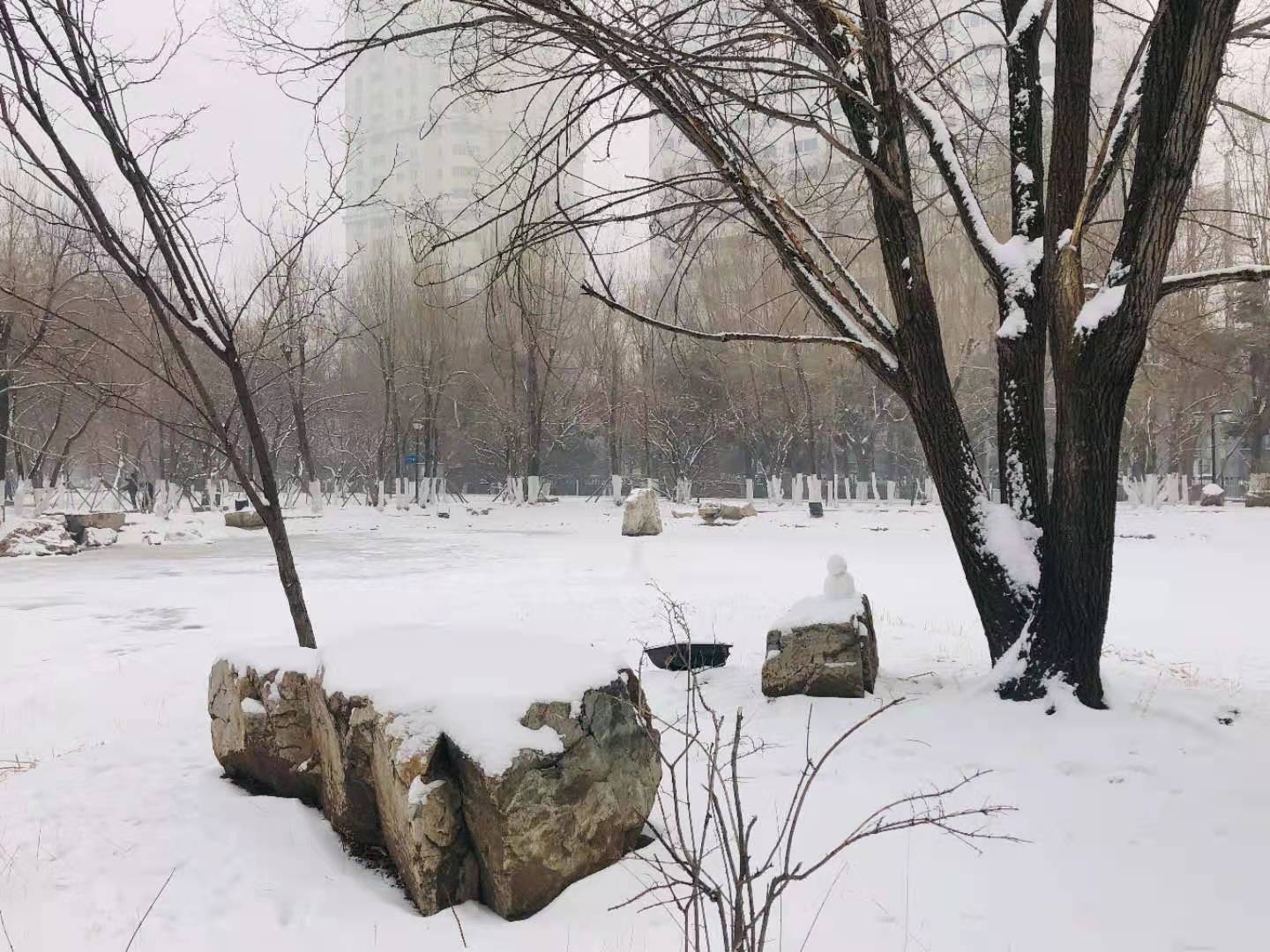 今日最美是冬雪(随笔)