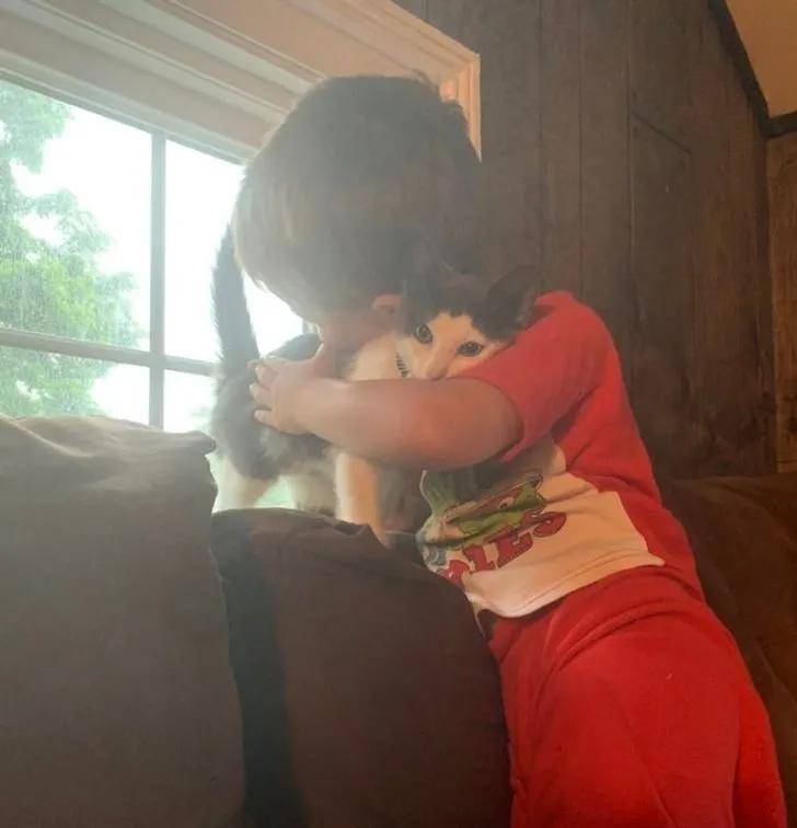 一组可爱温暖的猫咪图片:原来猫咪远比我们想象中的更依赖主人