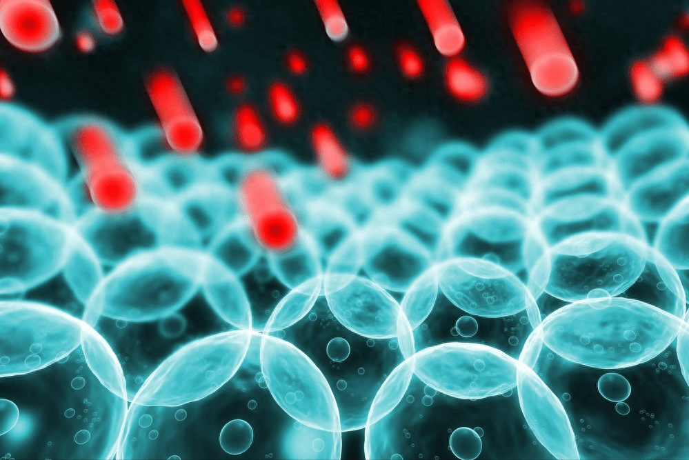 衰老迷局揭秘!我国科学家重要发现令人瞠目结舌