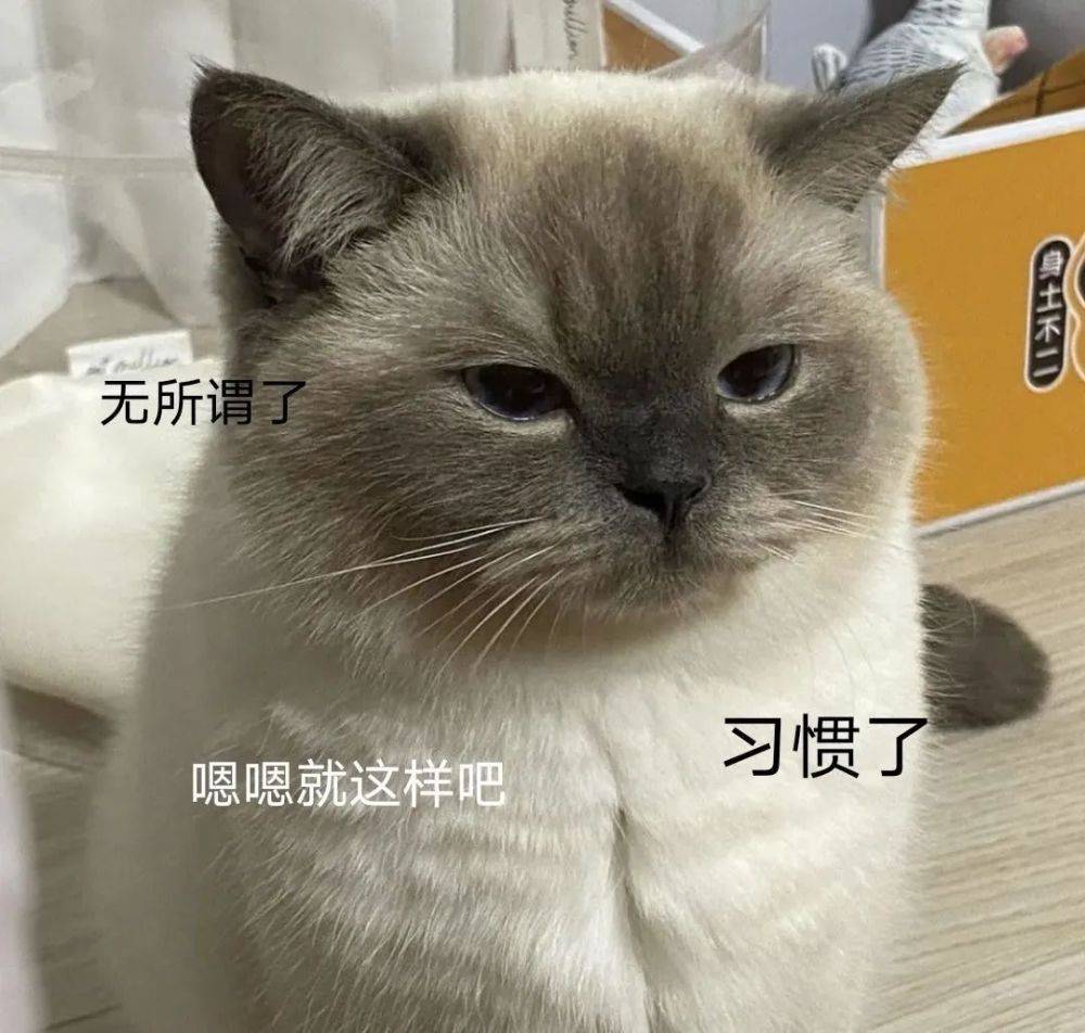 都说女追男隔层纱,有时候也不尽然