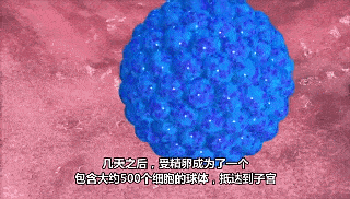 【花资】【转】不孕症要做哪些检查?了解这些接“好孕”